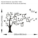 3D DIY Photo Tree PVC Wall Stickers