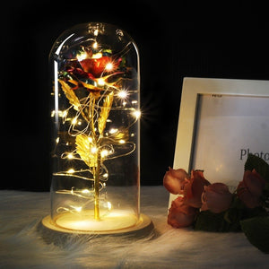 Glass Dome with LED Light Wood  Lamp