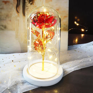 Glass Dome with LED Light Wood  Lamp