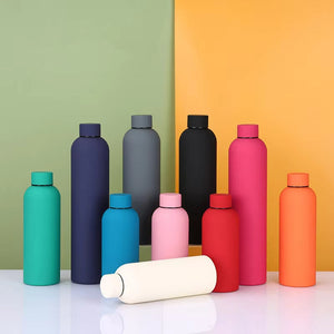 Double Wall Thermos Bottle